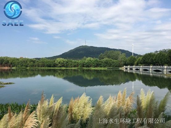 全国人大常委会执法检查组视察我司合肥南湖项目(图4)