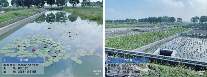 水专项巡礼 | 水产养殖场抗生素类新型污染物减排示范工程研究成果(图3)