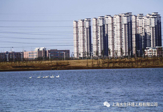 守护生物多样性 我们在行动(图2)