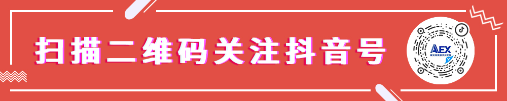 2025參考丨專業(yè)解讀丨電氣