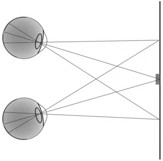 圖14:立體視覺據研究稱,在雙眼視野中,一側視網膜上的點在另一側的