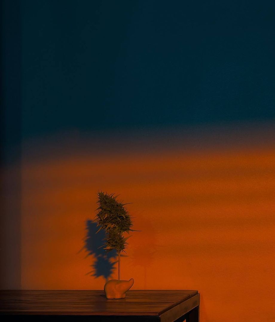 充满神秘感的暗色调黄昏作品