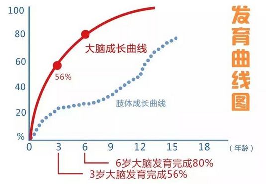 全脑优势训练为孩子的未来创造了什么优势？