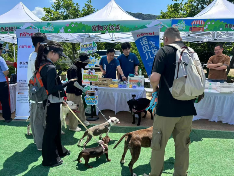 053004）新闻通稿：“青岛阿勒泰”，带着宠物来撒欢儿！(2)1319.png