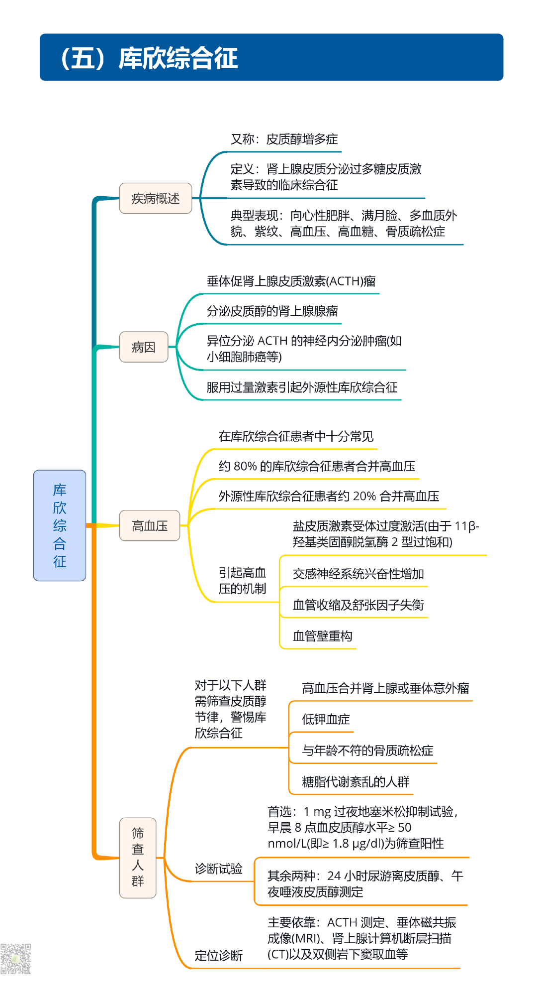 继发性高血压筛查和诊断中国专家共识2025（大总结）