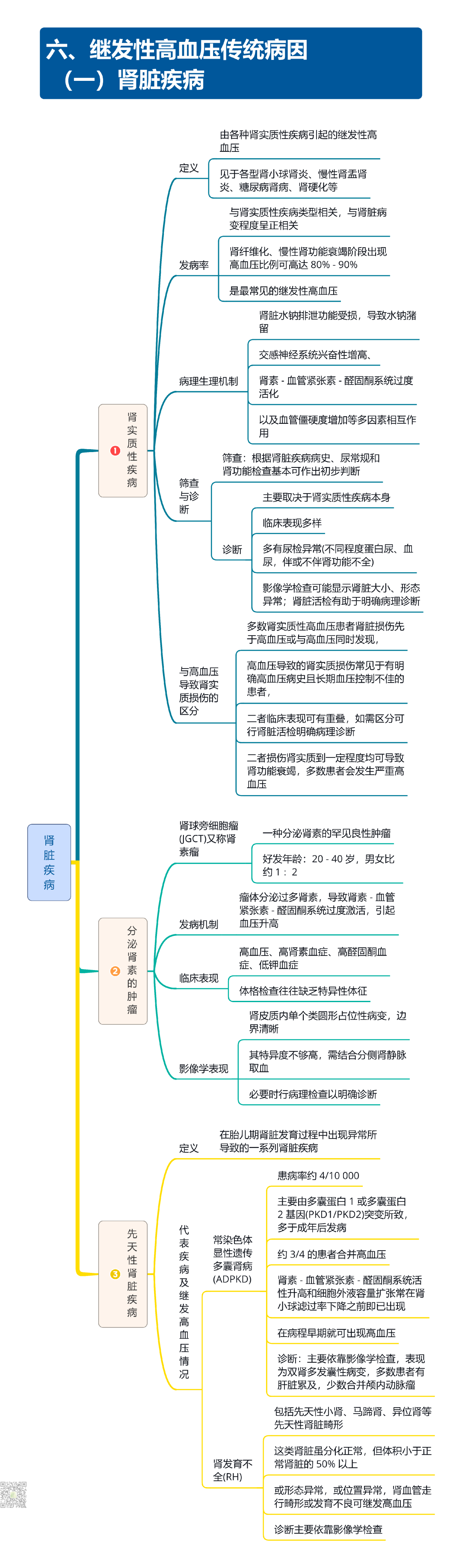 继发性高血压筛查和诊断中国专家共识2025（大总结）