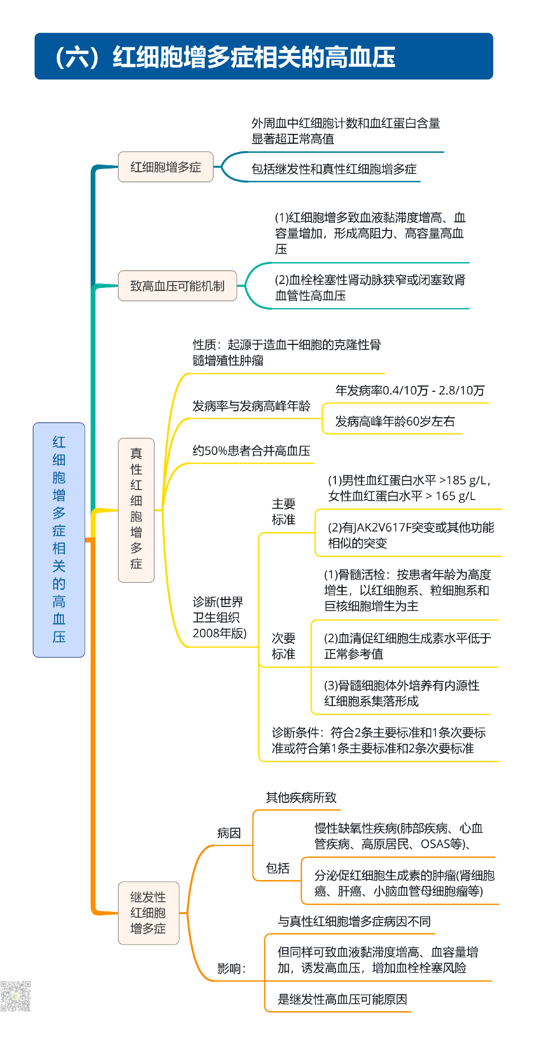继发性高血压筛查和诊断中国专家共识2025（大总结）