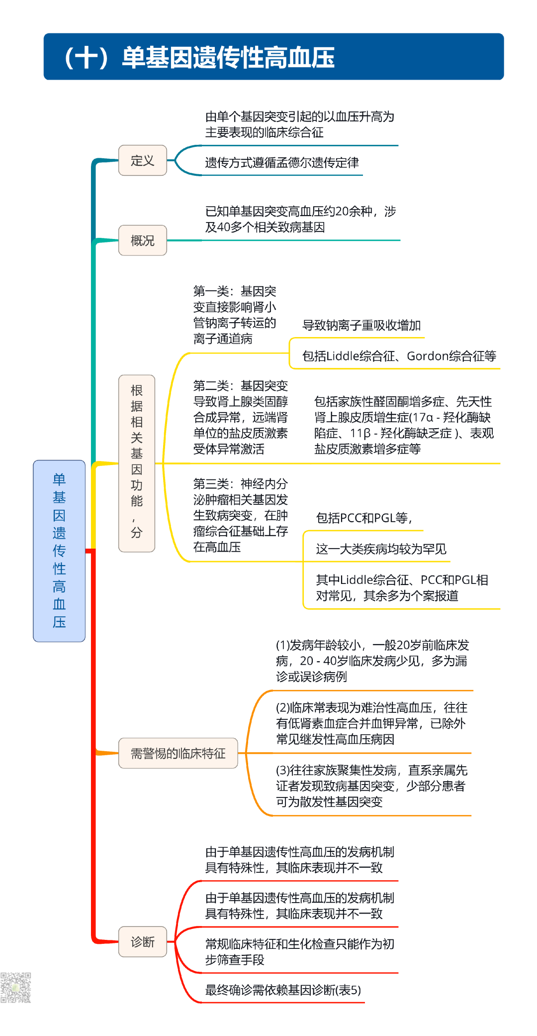继发性高血压筛查和诊断中国专家共识2025（大总结）