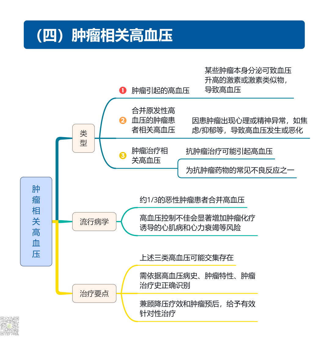 继发性高血压筛查和诊断中国专家共识2025（大总结）