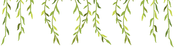 二月二龙抬头，你理发吗？头发引起的烦恼越来越多~~~