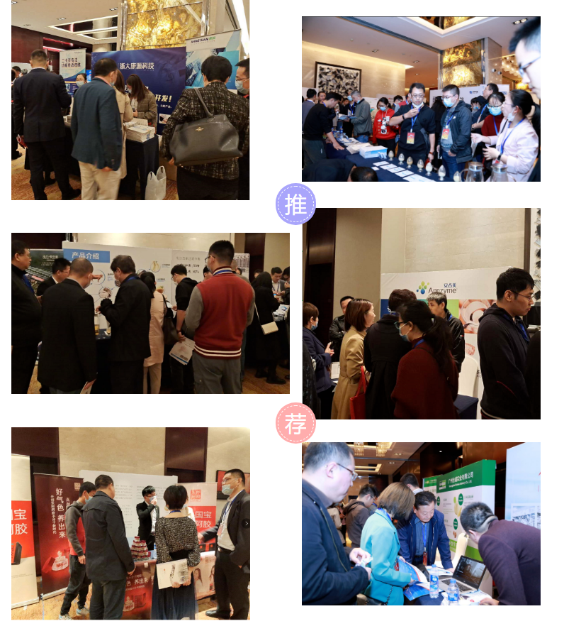 【延期通知】时间调整为12月26-28日·广州·第五届生物活性肽健康产业论坛与特医食品科技发展创新论坛 工委会成立大会-肽度TIMEDOO