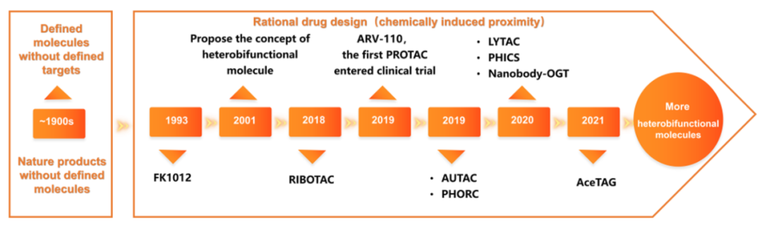 超越PROTAC——基于功能效应物的异功能分子设计的图1