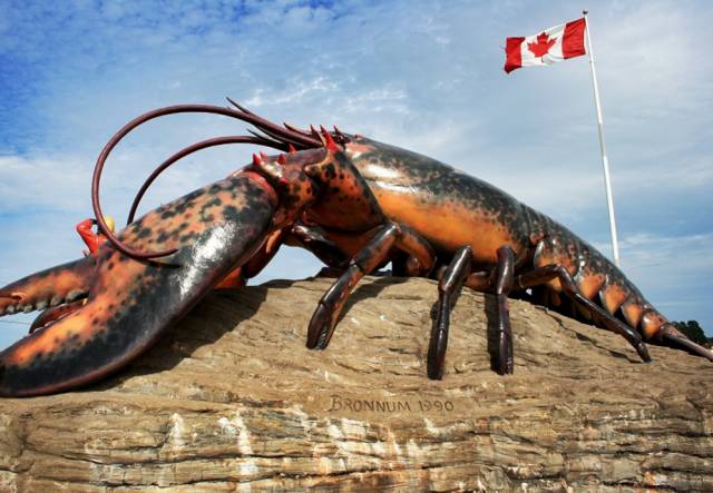 【解密波士顿大龙虾】海鲜之王究竟有多少秘密