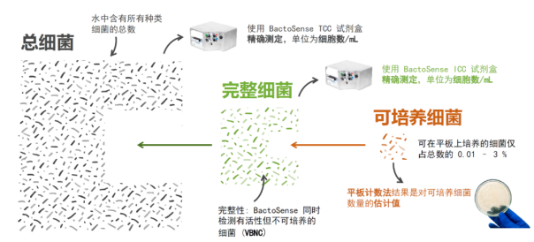 案例分享 | BactoSense微生物分析仪助力欧洲回用水项目落地