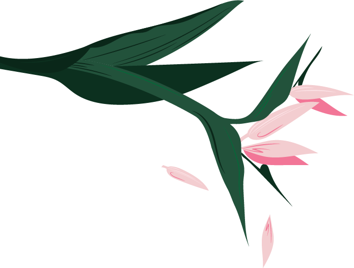 碧柳丝丝垂旧事 为谁摇落为谁眠 全网搜