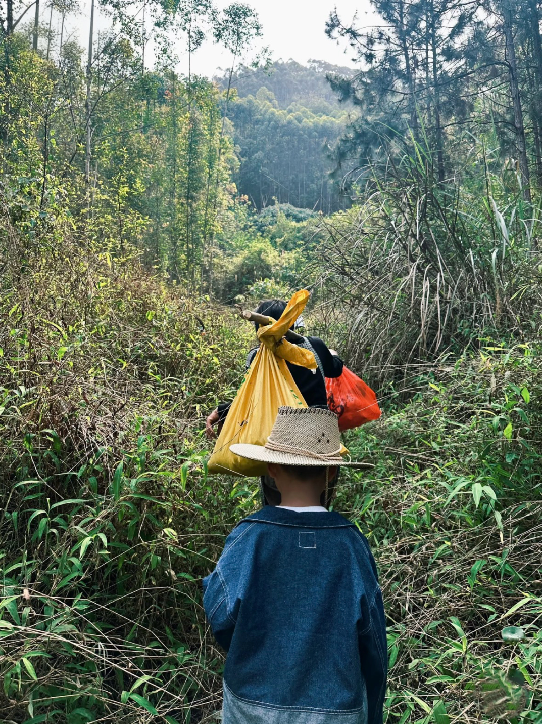 “拜山”路上。图源网友