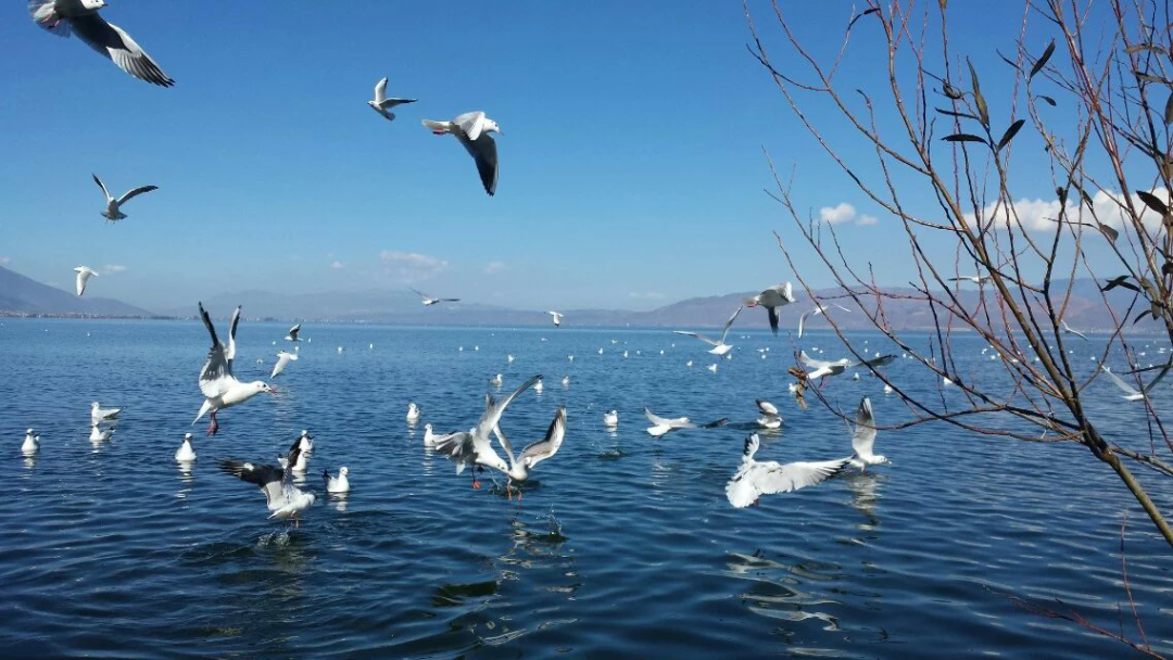 去海底捞店吃饭的后感_中里巴人推腹后反应_高考后去老妈的店里点了个中