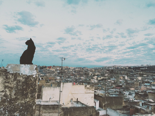 高考后去老妈的店里点了个中_去海底捞店吃饭的后感_中里巴人推腹后反应