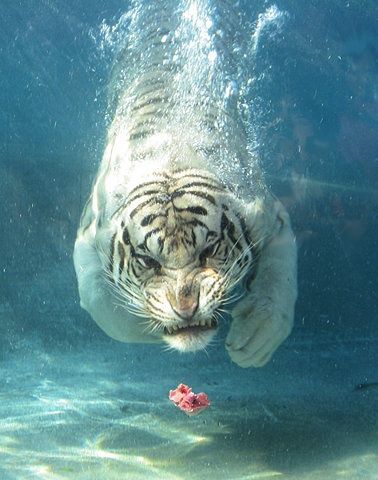 高考后去老妈的店里点了个中_中里巴人推腹后反应_去海底捞店吃饭的后感