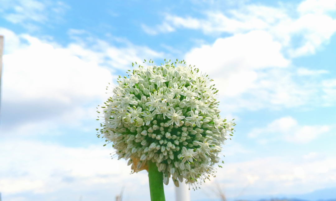 去海底捞店吃饭的后感_高考后去老妈的店里点了个中_中里巴人推腹后反应