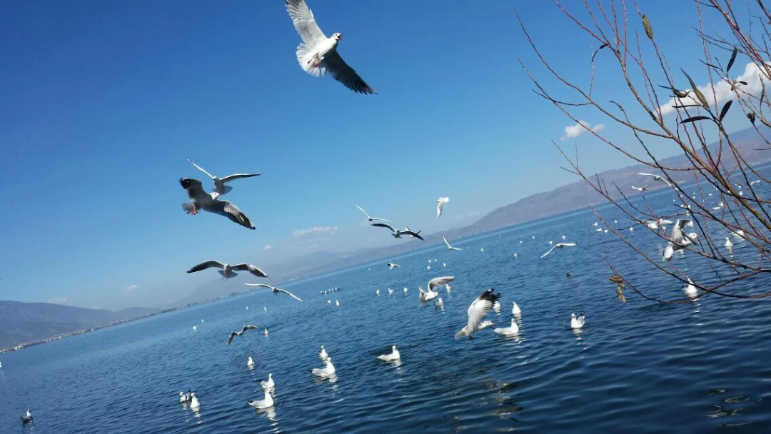 去海底捞店吃饭的后感_中里巴人推腹后反应_高考后去老妈的店里点了个中