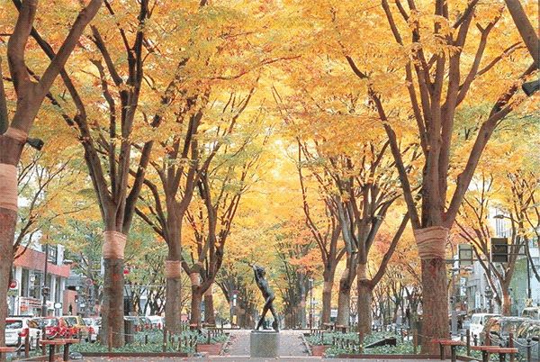 里米日本团招募 森都觅秋 日本仙台6日赏枫之旅 里米旅行 微信公众号文章阅读 Wemp