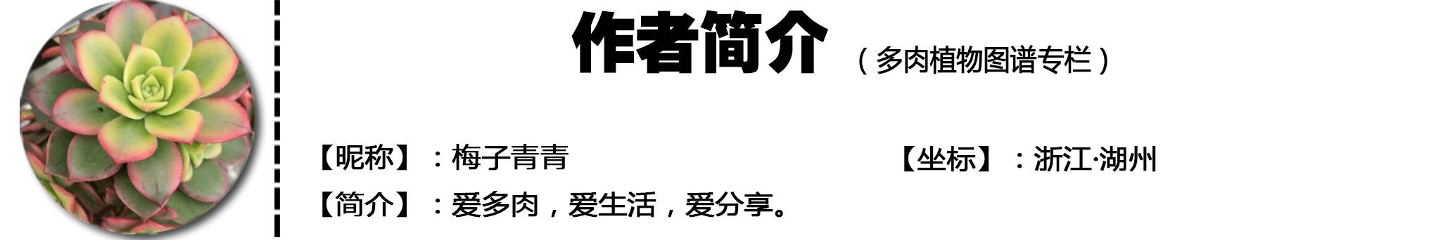 率土之滨配将经验心得_率土之滨配将经验心得_率土之滨配将经验心得