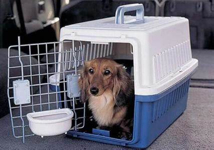猫猫这么可爱,为什么被迫沦为犯罪工具?-微信头条网 猫猫这么可爱,为什么被迫沦为犯罪工具?
