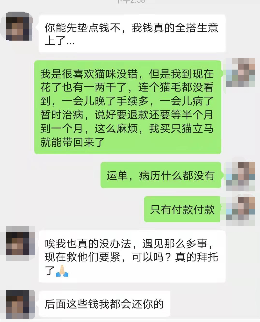猫猫这么可爱,为什么被迫沦为犯罪工具?-微信头条网 猫猫这么可爱,为什么被迫沦为犯罪工具?