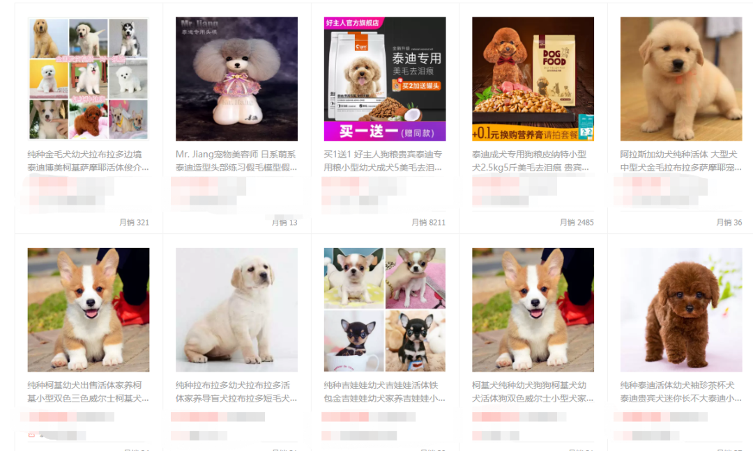 猫猫这么可爱,为什么被迫沦为犯罪工具?-微信头条网 猫猫这么可爱,为什么被迫沦为犯罪工具?