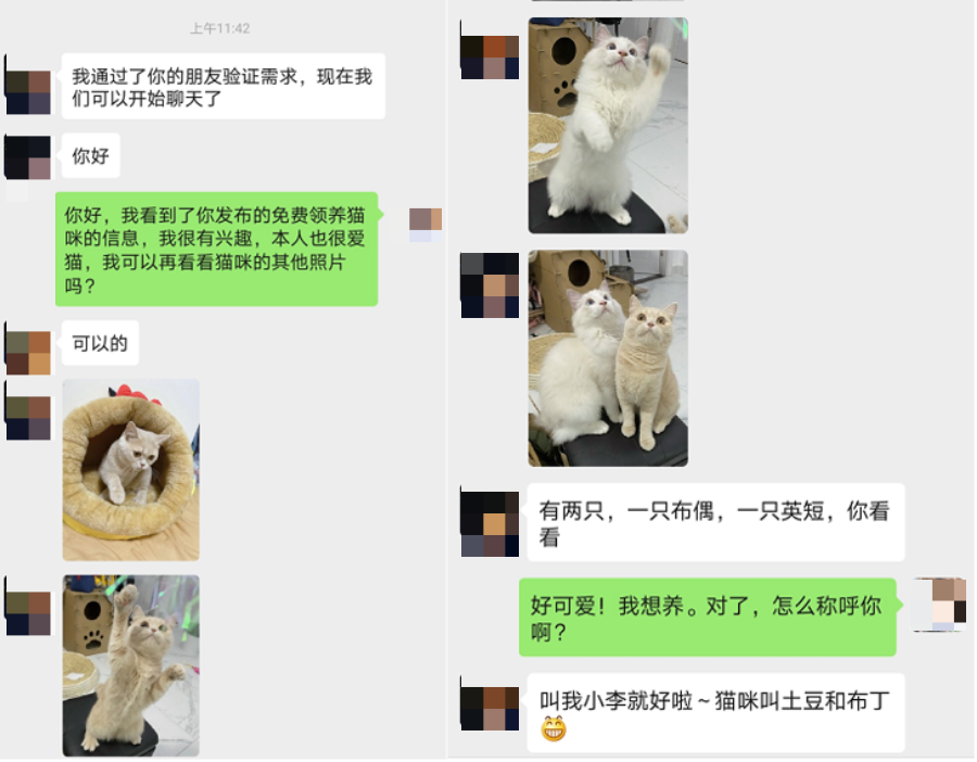 猫猫这么可爱,为什么被迫沦为犯罪工具?-微信头条网 猫猫这么可爱,为什么被迫沦为犯罪工具?