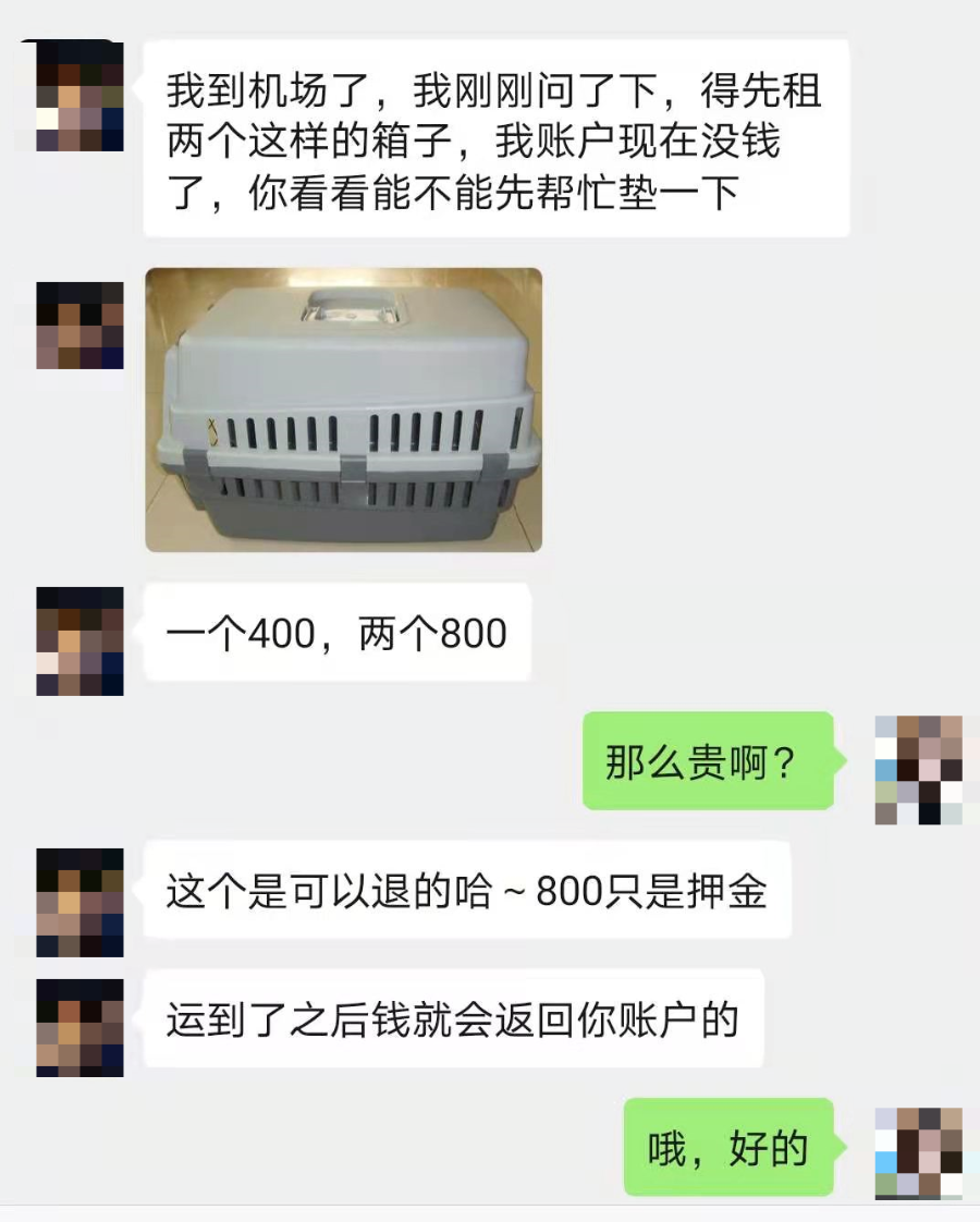 猫猫这么可爱,为什么被迫沦为犯罪工具?-微信头条网 猫猫这么可爱,为什么被迫沦为犯罪工具?