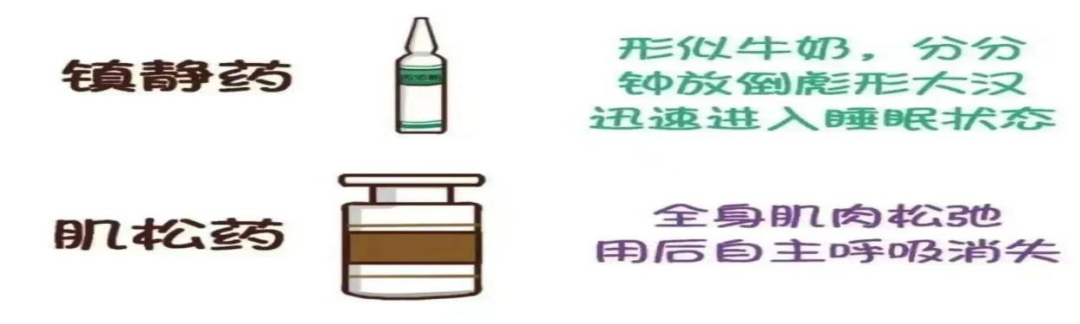 全麻后为什么送icu手术结束后为什么不能直接回病房？这里藏着大秘密！_https://www.jmylbn.com_新闻资讯_第8张