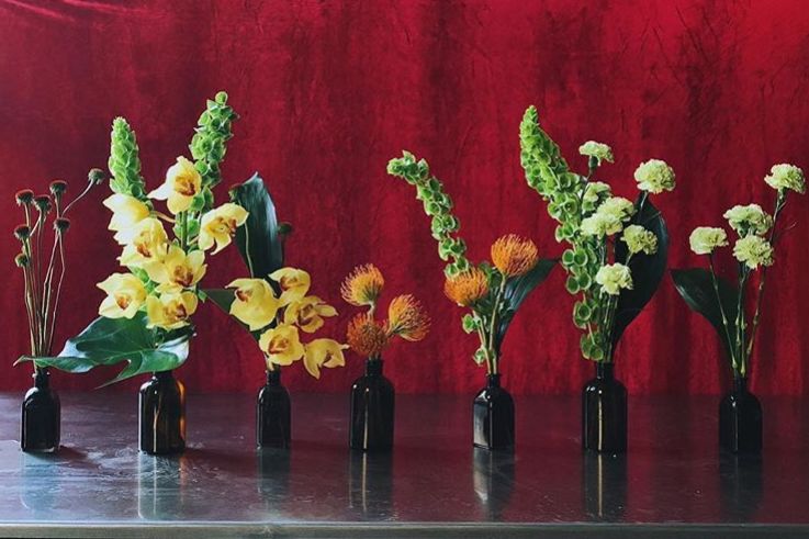 想花开更久，怎能少了这些方法！