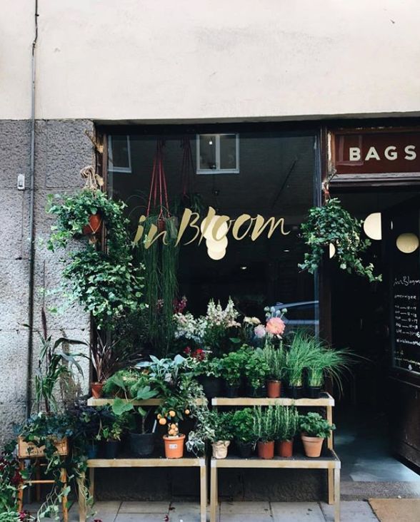 开花店，注意这几个设计