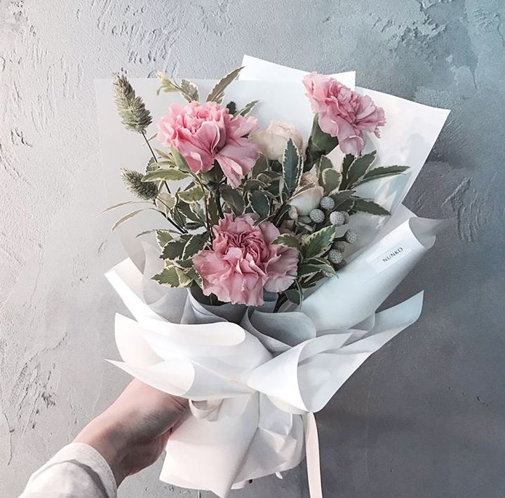 康乃馨的养护，还是需要花点心思的哟！