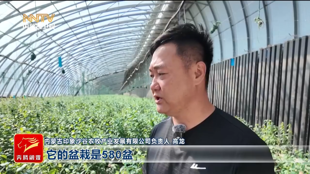 视频截图