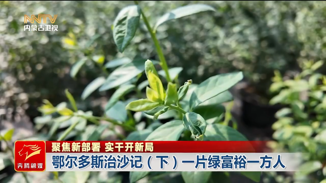 视频截图