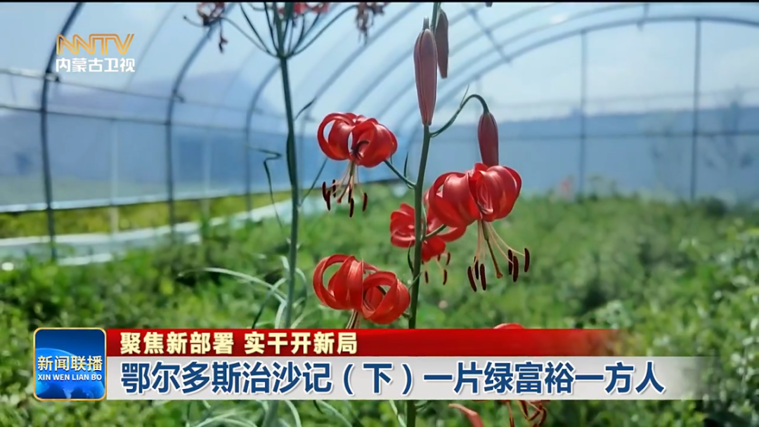 视频截图