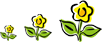 640 (5).png