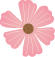 640 - 2024-07-08T090000.740.png
