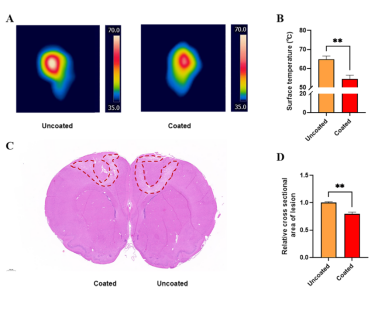 双极电凝镊为什么不粘Frontiers in Surgery：骨蜡涂层可有效提高双极电凝的止血性能！_https://www.jmylbn.com_新闻资讯_第3张