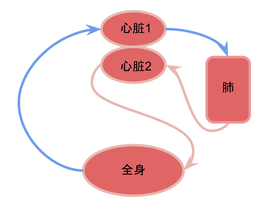 我承认 我小瞧了心脏 知识分子 财新博客 新世纪的常识传播者 财新网