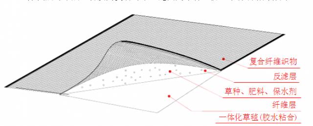 边坡绿化还能这样做？收藏了！的图12