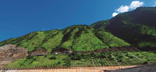 边坡绿化还能这样做？收藏了！的图3