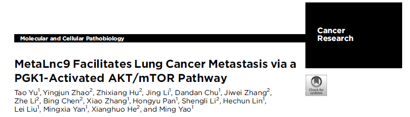 MetaLnc9 Facilitates Lung CancerMetastasis via a PGK1-Activated AKT/mTOR Pathway