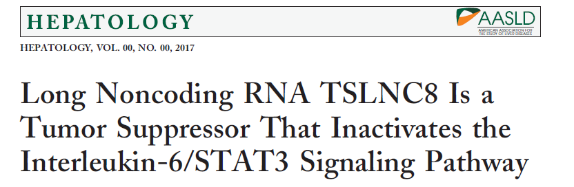 Long Noncoding RNA TSLNC8 Is aTumor Suppressor That Inactivates the Interleukin-6/STAT3 Signaling Pathway