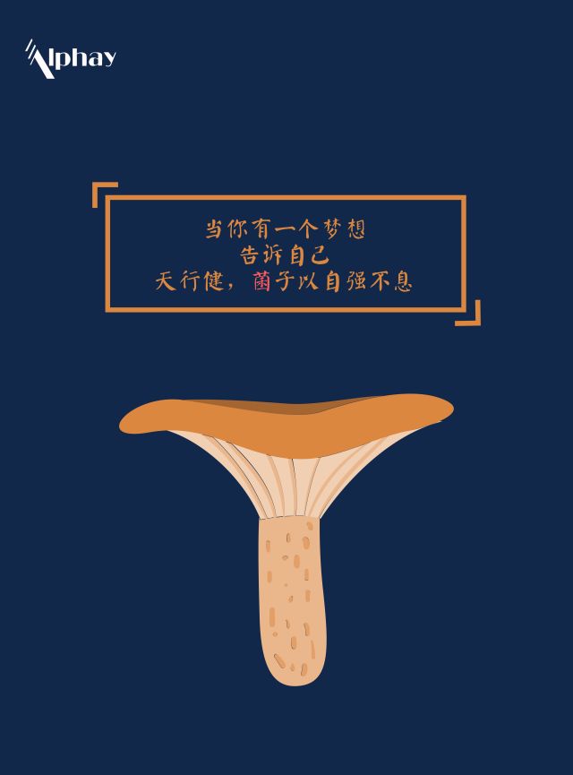 安惠生活：干了这杯心灵蘑菇汤！