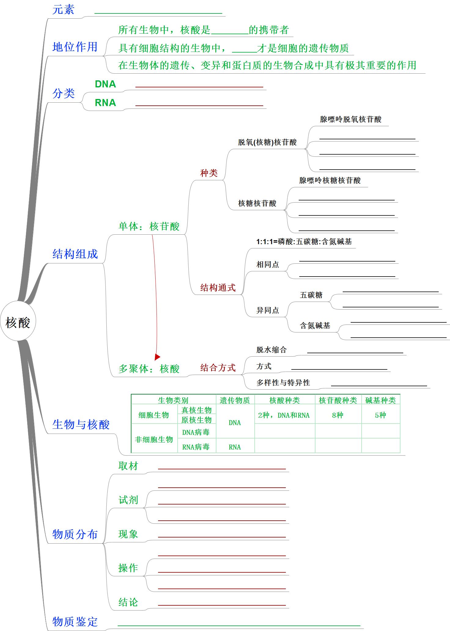 高中生物思维导图25节核酸知识点 