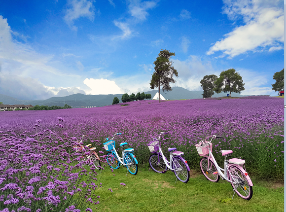 春节腾冲旅游攻略